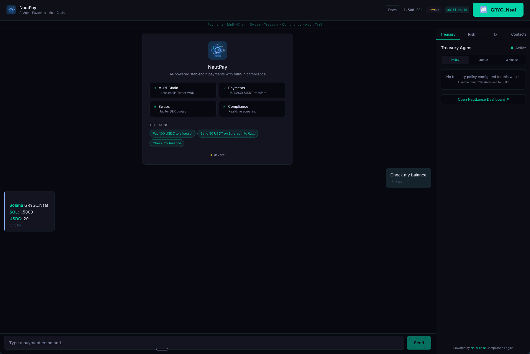 NautPay main interface